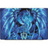 Ruth Thompson Ice Dragon Dell Vostro Skin